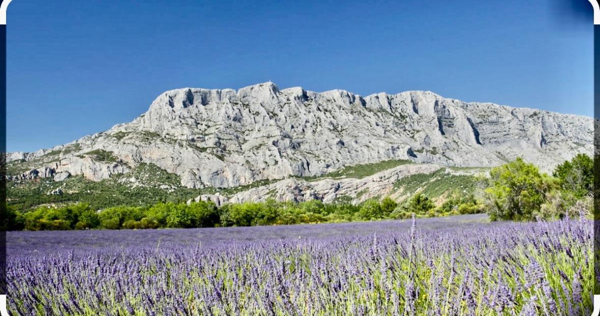 Joli Studio Le Clos D'Aix Avec Grande Terrasse Piscine Et Parking Gratuit Aix-en-Provence Kültér fotó